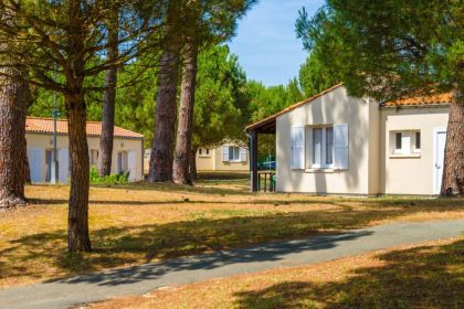 Village en plein cœur d'une pinède