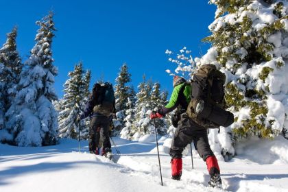 Ski alpin et ski nordique à proximité