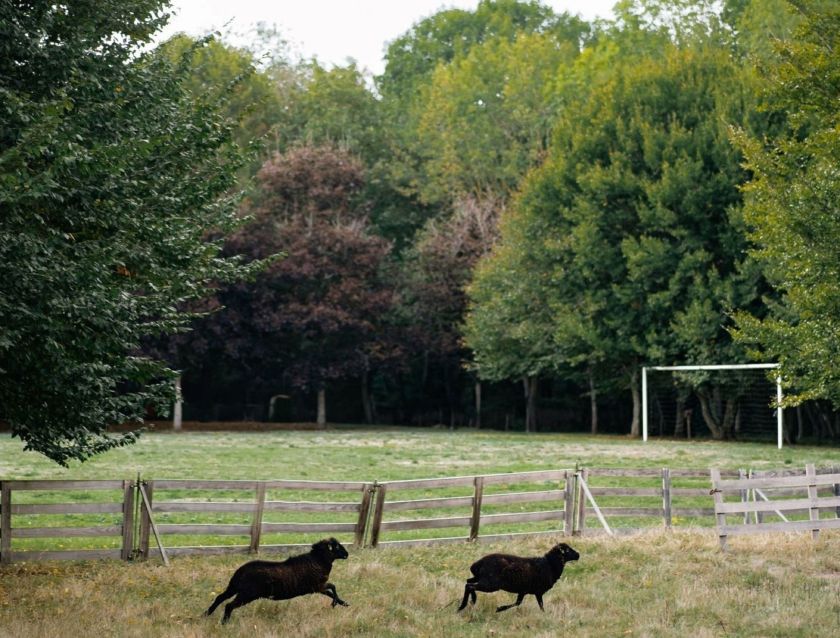 Le Parc du Coudray en famille !