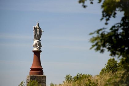 Vacances dans le Tarn en famille au Domaine du Green